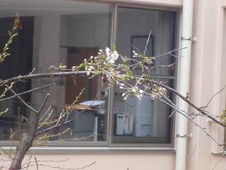 s-CIMG2206